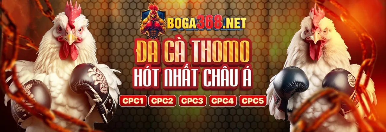 Đá gà trực tuyến 6ff - Trận đấu kịch tính