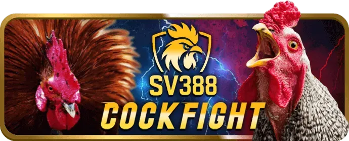 Điền thông tin đăng ký 6ff
